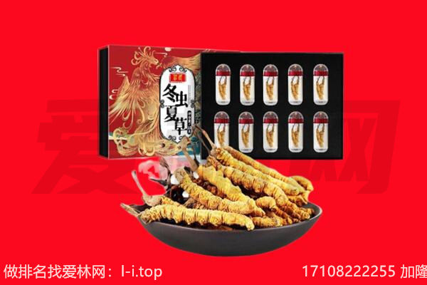 怀化回收虫草.jpg